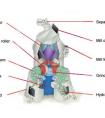Operational and Maintenance of Cement plant vertical roller mill