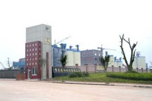 5000t/d Cement Production Line of Chongqing Jinjiang Cement Co., Ltd.