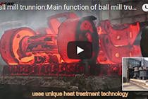 Ball mill trunnion:5-30 t,Material:ZG230-450