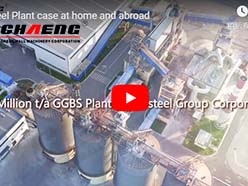 Steel Plant case at home and abroad